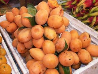 Marain Plum