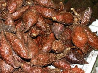 Салак (Salak - Salacca edulis)