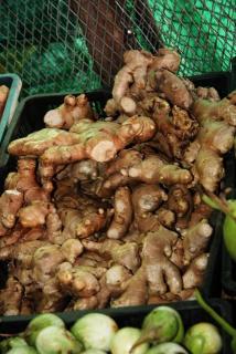 Корни имбиря (Ginger - Zingiber)