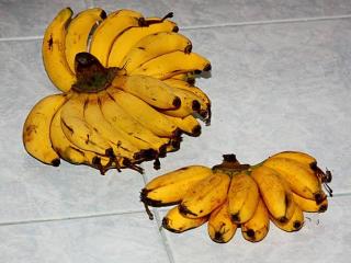 Маленькие бананчики