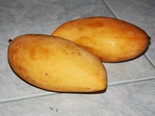 Манго (Mango Sweet - Mangifera indica Linn.)
