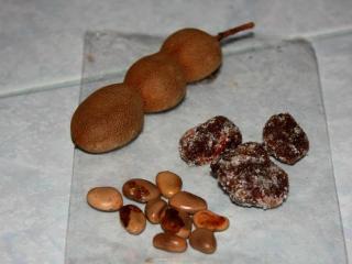 Тамаринд (Tamarind Sweet - Tamarindus indica Linn)