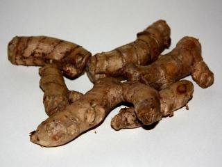 Корни имбирного растения