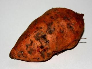 Картофель