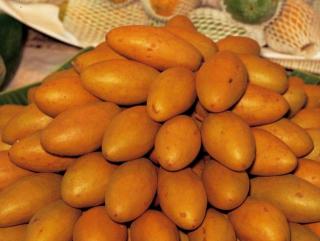 Саподилла (Sapodilla - Achras sapota Linn.)