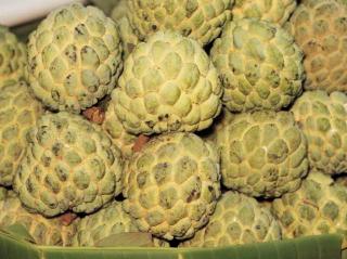 Нойна или сахарное яблоко (Sugar Apple - Annona squamosa)