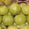 Гуава (Guava - Psidium guajava). Тайский рынок