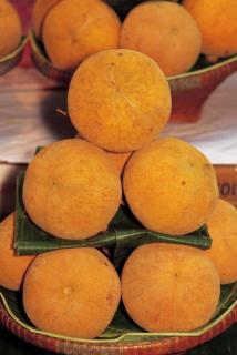 Santol (Gra-Tawn)