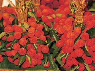 Личи (Lychee)